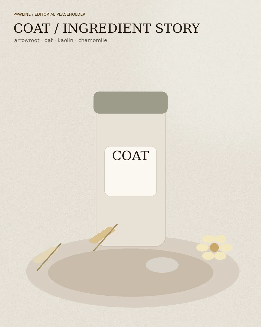 COAT — Dry Shampoo — Pawline editorial visual